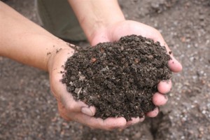 Soil[1]